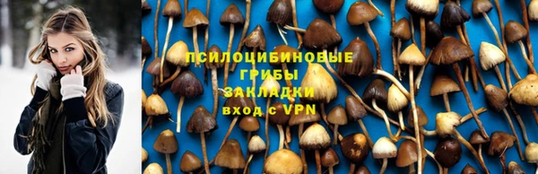 прущая мука Белокуриха