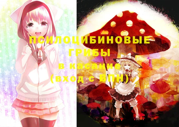 spice Балахна